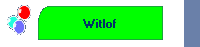 Witlof